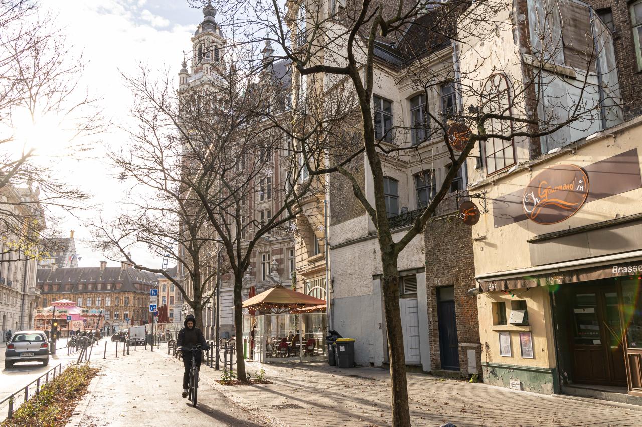 Bureau Lille 260m² Location bureau Lille Nord OLBUR2318686 5